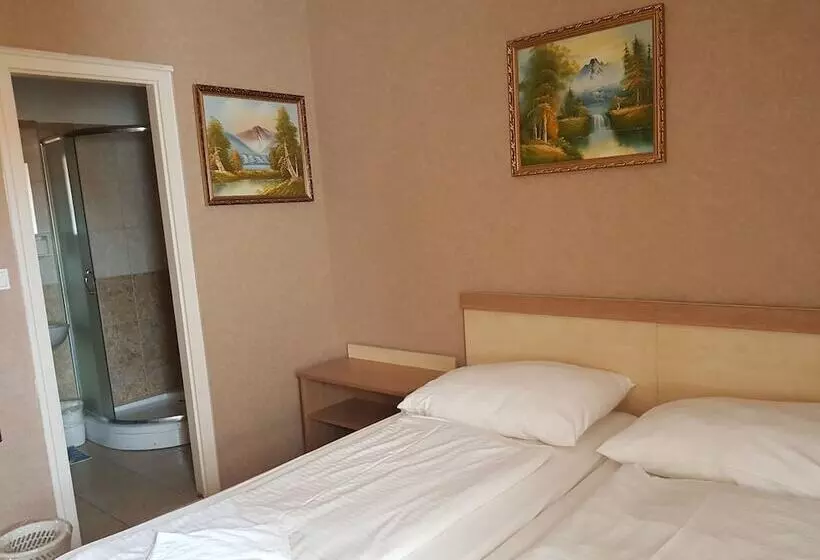 Standard Yhden Hengen Huone, Silver Hotel Budapest City Center