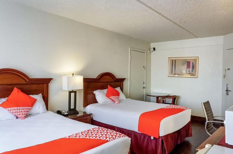 스탠다드 싱글 룸, The Judd