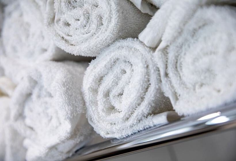 اتاق خانوادگی با سرویس بهداشتی مشترک, Princess Hostel Leidse Square Amsterdam