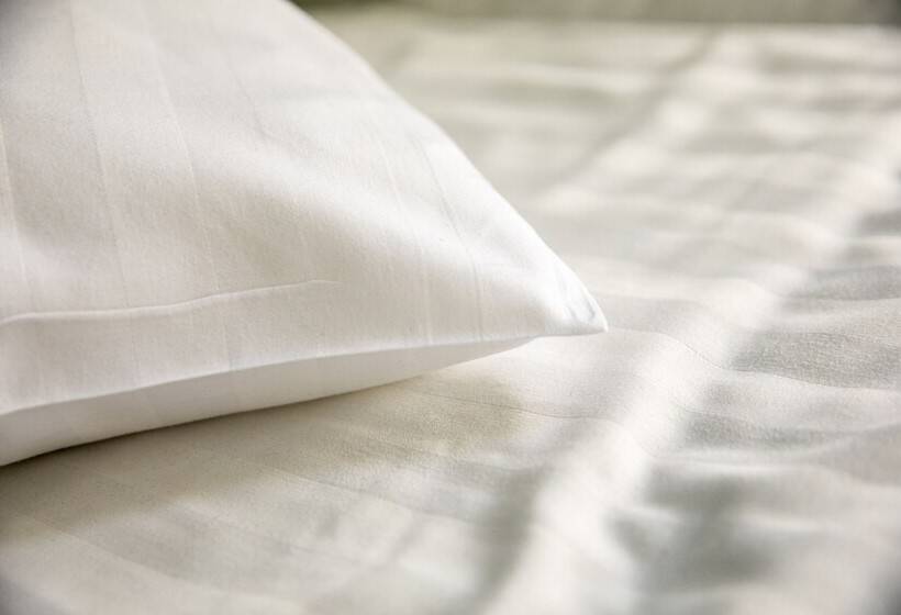 اتاق خانوادگی با سرویس بهداشتی مشترک, Princess Hostel Leidse Square Amsterdam