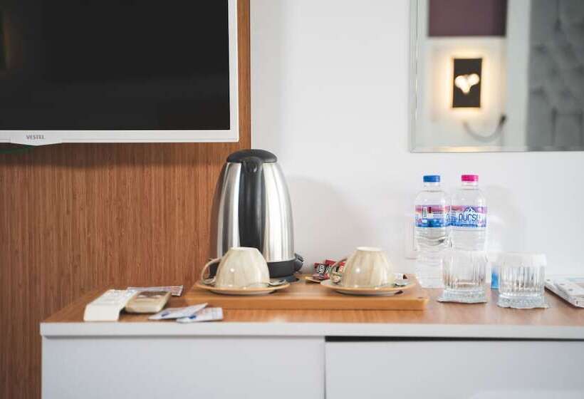 标准间, Afyon Orucoglu Thermal Resort