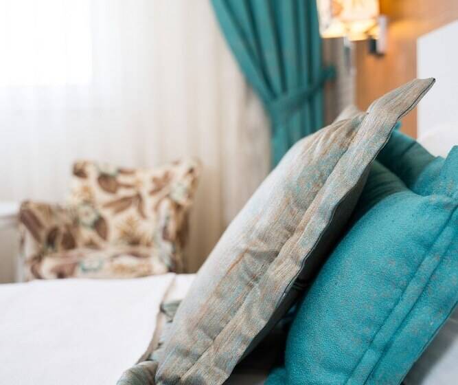 标准间, Afyon Orucoglu Thermal Resort