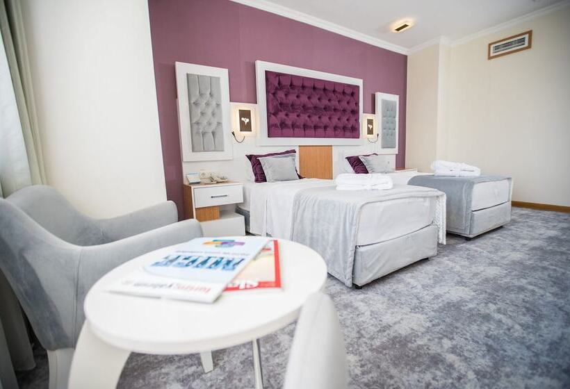 标准间, Afyon Orucoglu Thermal Resort