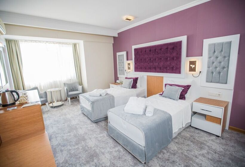 スタンダードルーム, Afyon Orucoglu Thermal Resort
