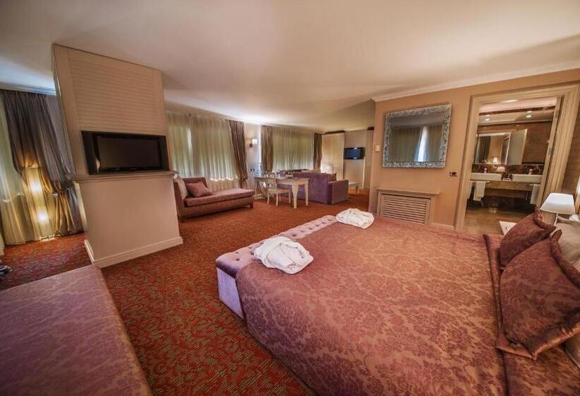 スイート, Dream Hill Business Deluxe Hotel Asia