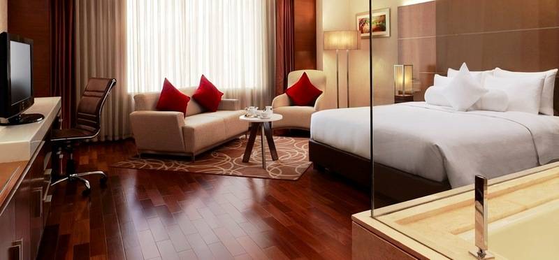 اتاق کلاب, Hyatt Centric Janakpuri New Delhi