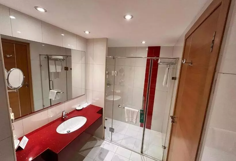 اتاق استاندارد با چشم‌انداز شهر, Golden Tulip Muscat