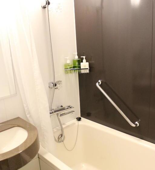 带双人床的基本房间, Ryumeikan Tokyo