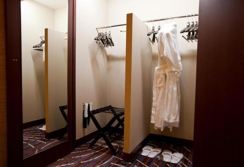 小型套房, Ryumeikan Tokyo