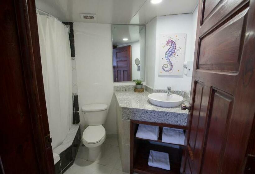 חדר סטנדרט, Whala! Bávaro - All Inclusive