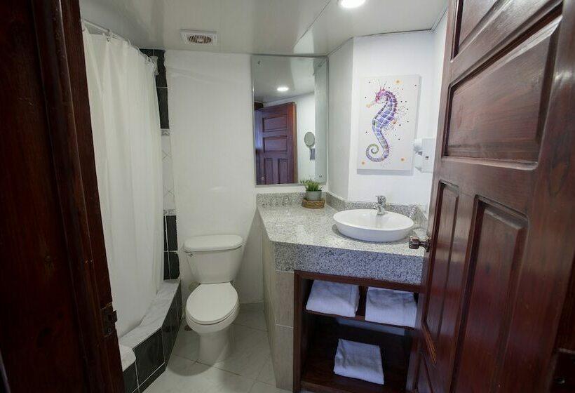 חדר סטנדרט, Whala! Bávaro - All Inclusive