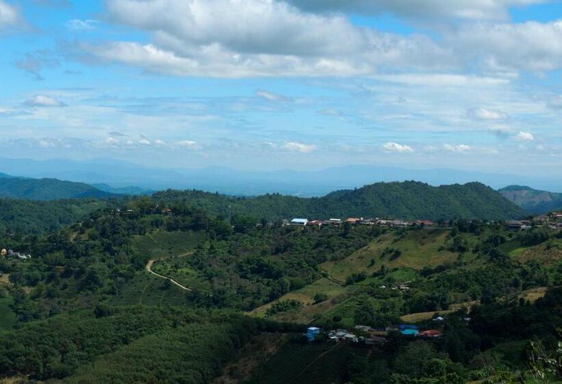 Номер Стандарт, Ama Maesalong