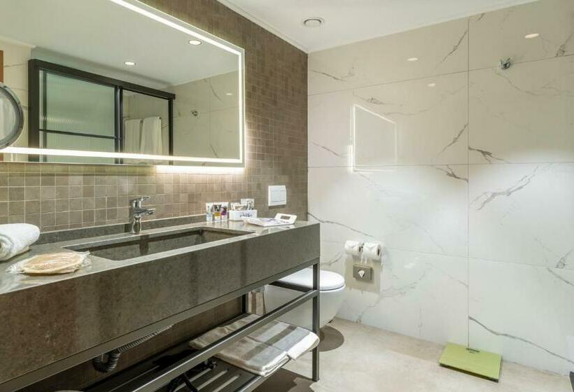 اتاق استاندارد با چشمانداز دریا, Mercure Trabzon