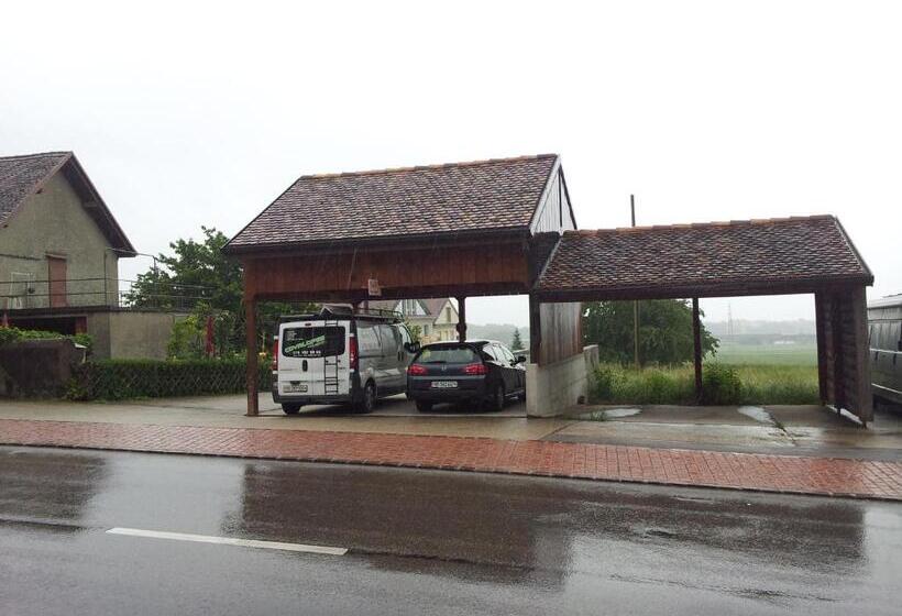 غرفة قياسية, Au Cœur Du Vignoble Sur Bursins