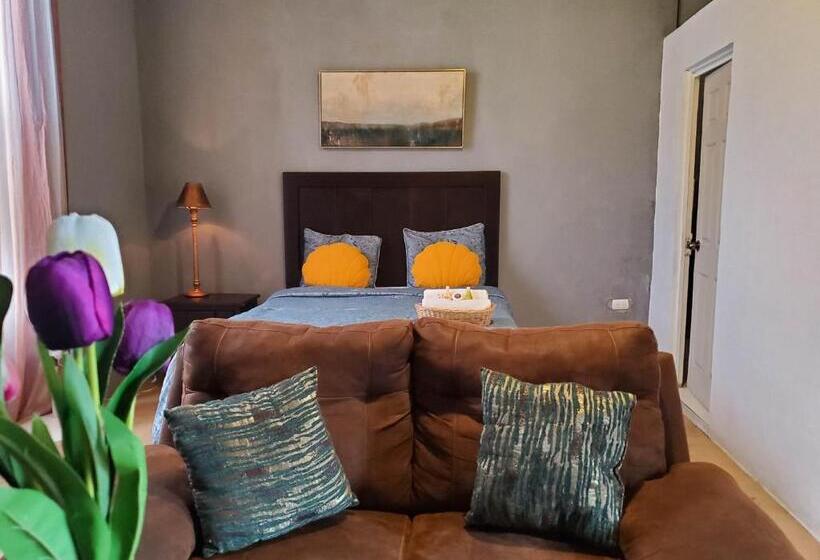 اتاق استاندارد, Brunette