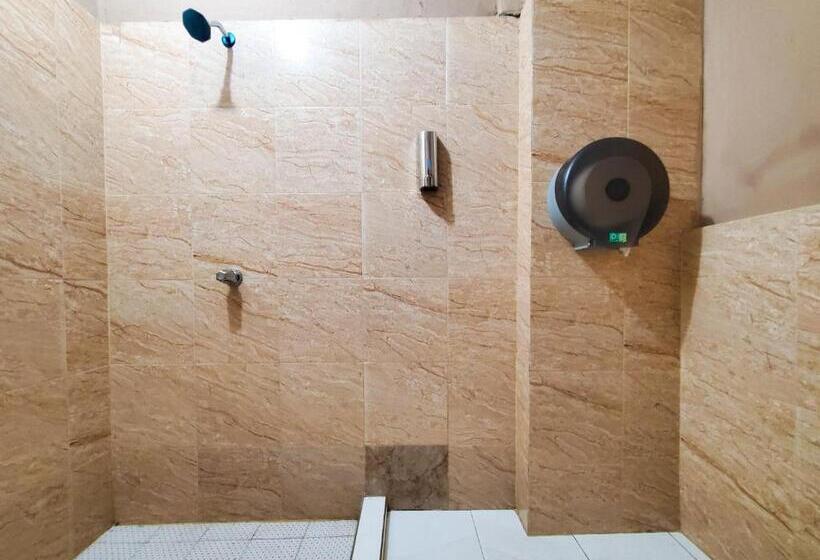 اتاق استاندارد یک نفره, Brunette