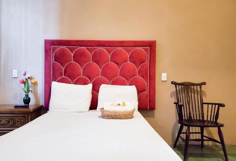 اتاق استاندارد یک نفره, Brunette