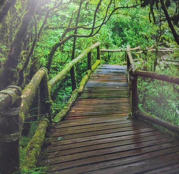 Chambre Standard, Hostal El Bosque Encantado Toledo