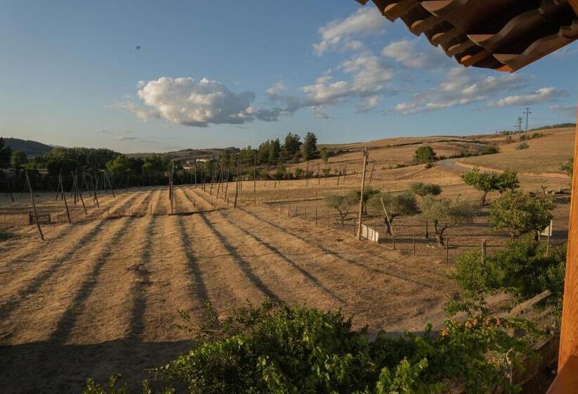 استودیوی استاندارد, Montesinho Eco Resort