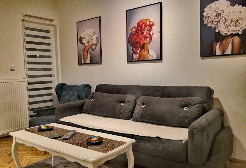 2ベッドルームアパートメント, Apartment 67 Bajina Basta