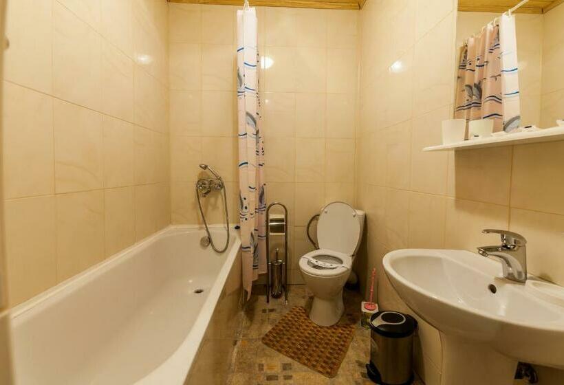 آپارتمان 1 خوابه با چشم‌انداز, Olga Hotel Spa