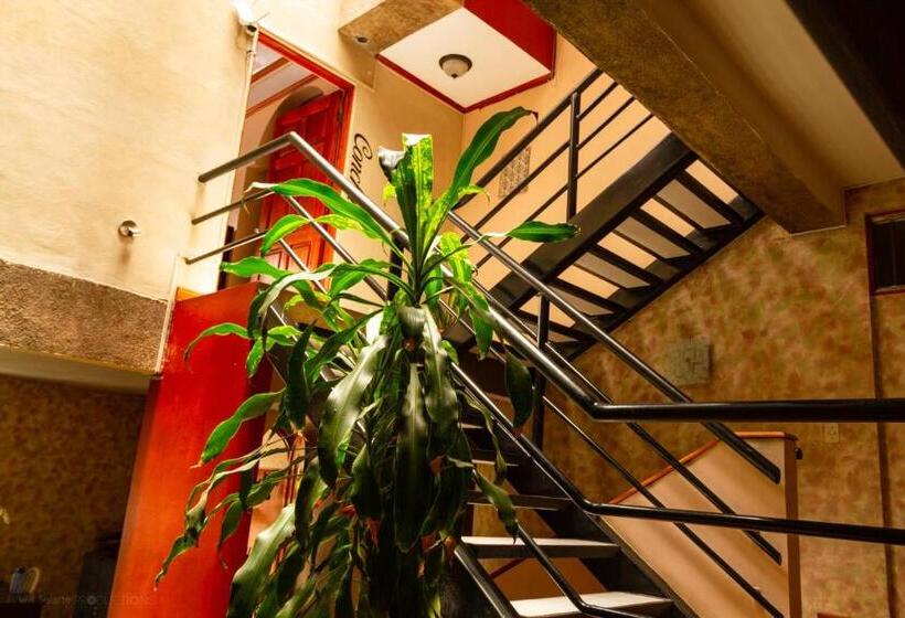 غرفة قياسية, Boruka Bnb