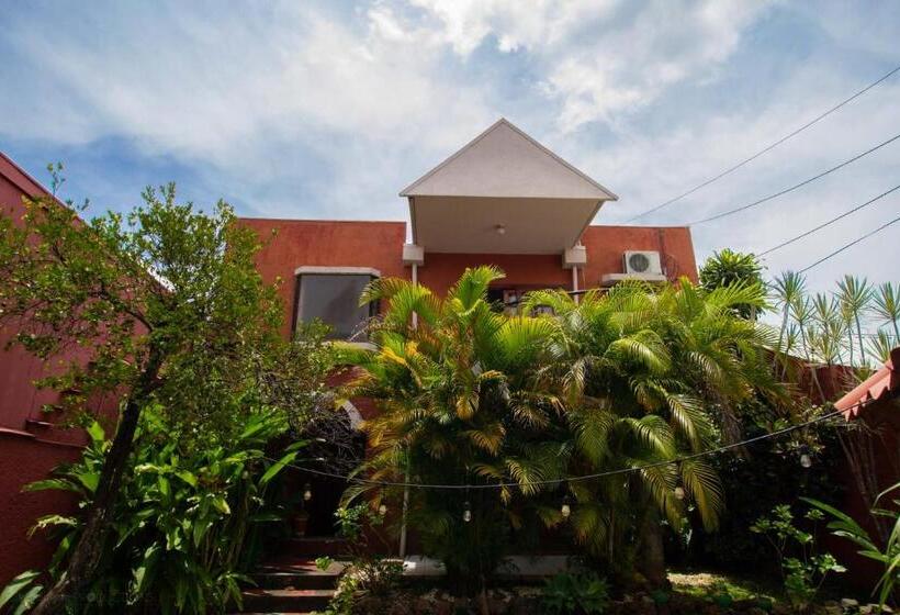 كوخ قياسي, Boruka Bnb