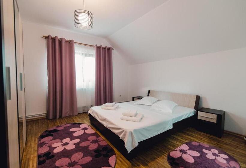 スタンダードルーム, Pensiunea Vision