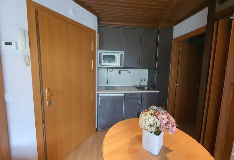 آپارتمان 1 خوابه, Vielha Xvi