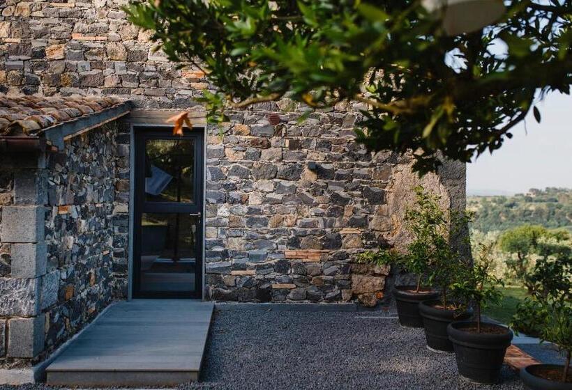 Kertre Néző Standard Szoba, Rara Factory Design House