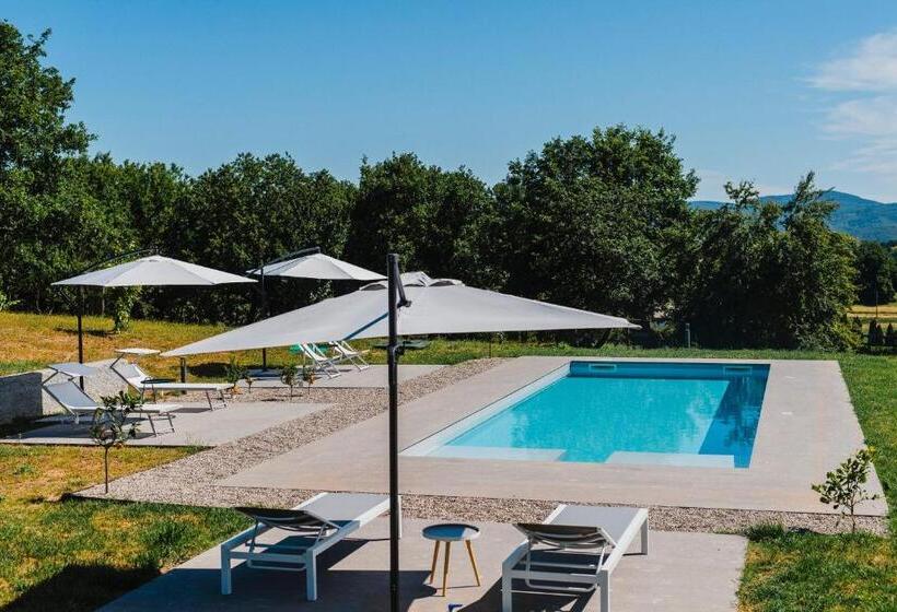 Kertre Néző Standard Szoba, Rara Factory Design House