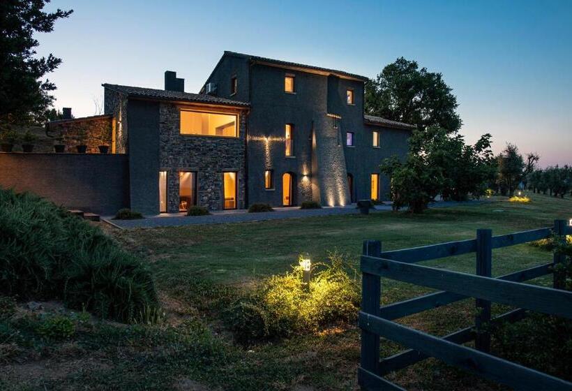 Kertre Néző Standard Szoba, Rara Factory Design House