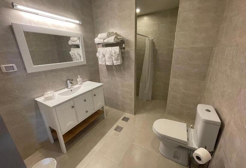 اتاق لوکس سه تخته, Mizirawi Historic