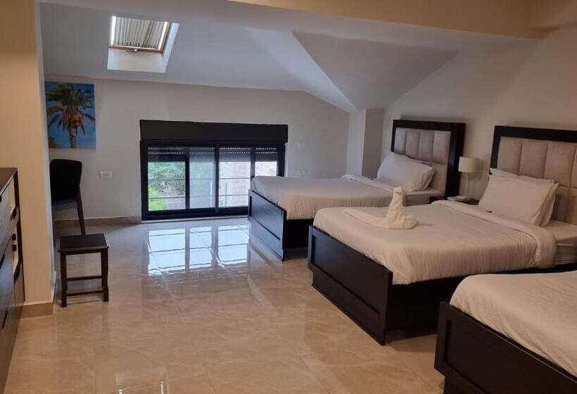 اتاق لوکس سه تخته, Mizirawi Historic