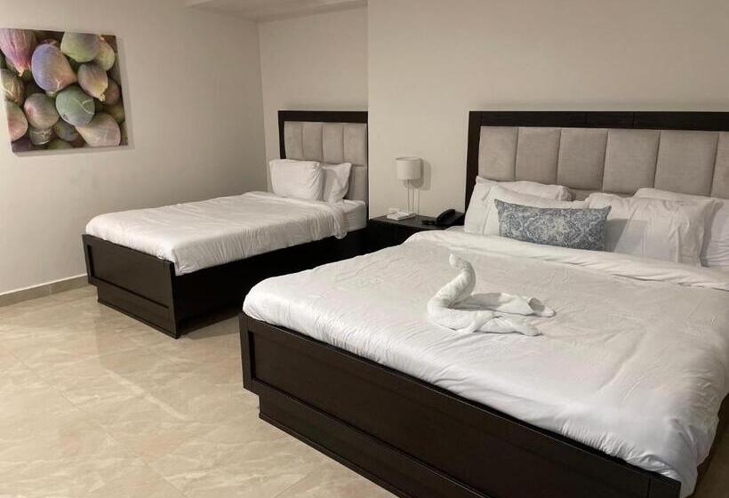 اتاق استاندارد, Mizirawi Historic