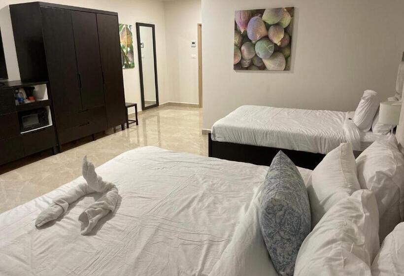 اتاق استاندارد, Mizirawi Historic