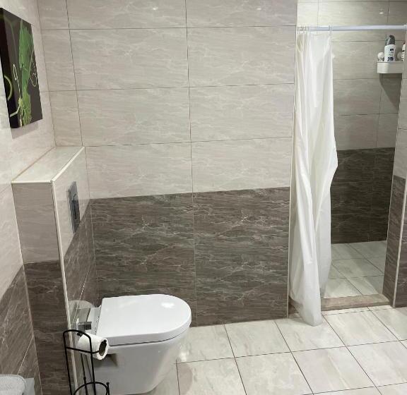 اتاق استاندارد, Mizirawi Historic