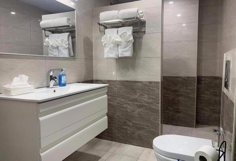 اتاق استاندارد, Mizirawi Historic