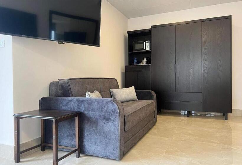 اتاق استاندارد, Mizirawi Historic