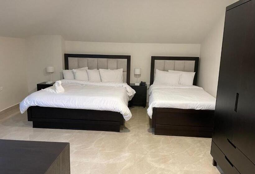 اتاق استاندارد, Mizirawi Historic