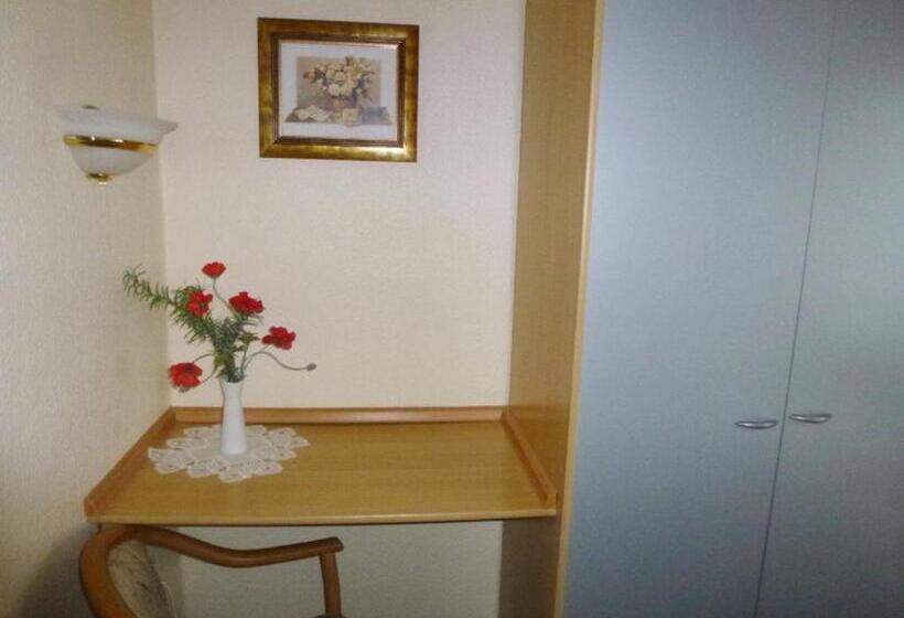 اتاق استاندارد یک نفره, Pension Mittag