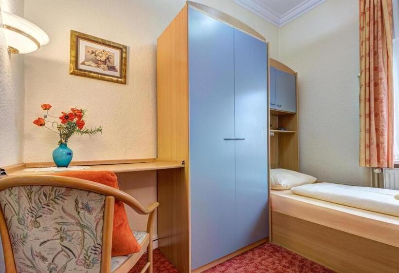 اتاق استاندارد یک نفره, Pension Mittag