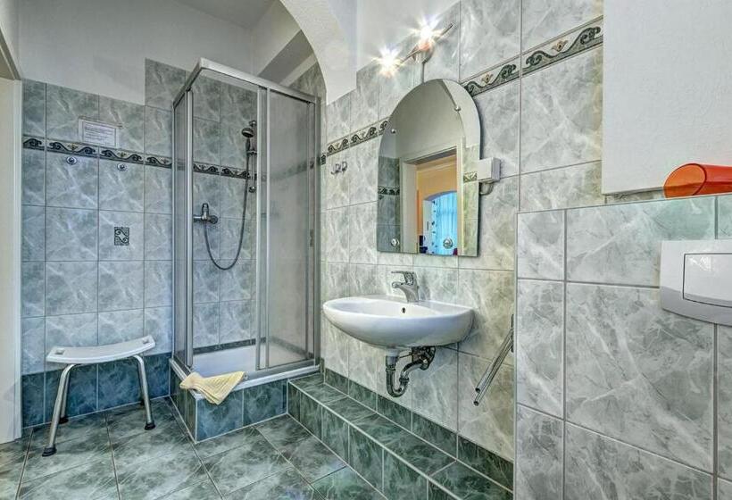 آپارتمان 1 خوابه, Pension Mittag