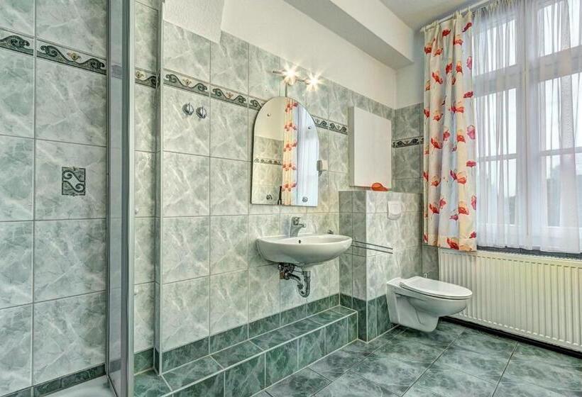 آپارتمان 1 خوابه, Pension Mittag