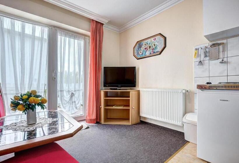 آپارتمان 1 خوابه با تراس, Pension Mittag