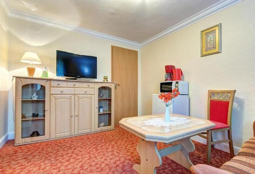 آپارتمان 1 خوابه, Pension Mittag