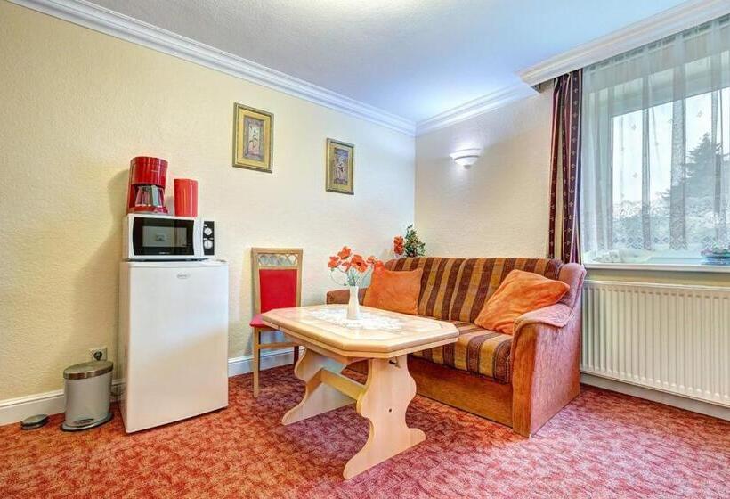 آپارتمان 1 خوابه, Pension Mittag