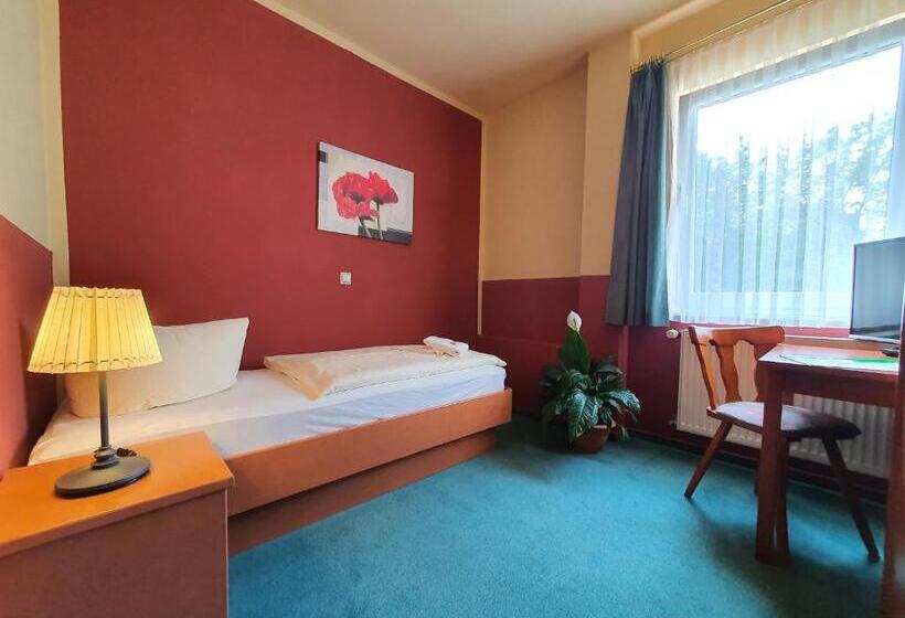 스탠다드 싱글 룸, Altstadthotel Ilsenburg