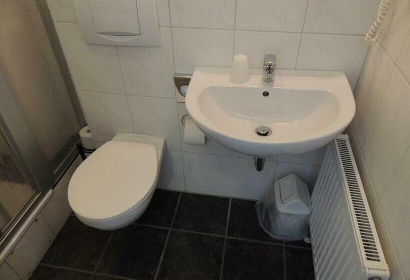 اتاق استاندارد یک نفره, Airport Business Hotel Köln