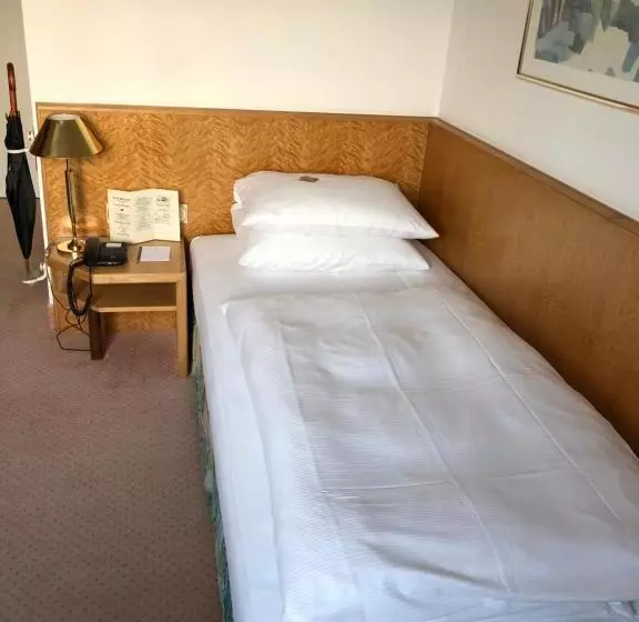 اتاق عادی یک تخته, Landhotel Bellevue